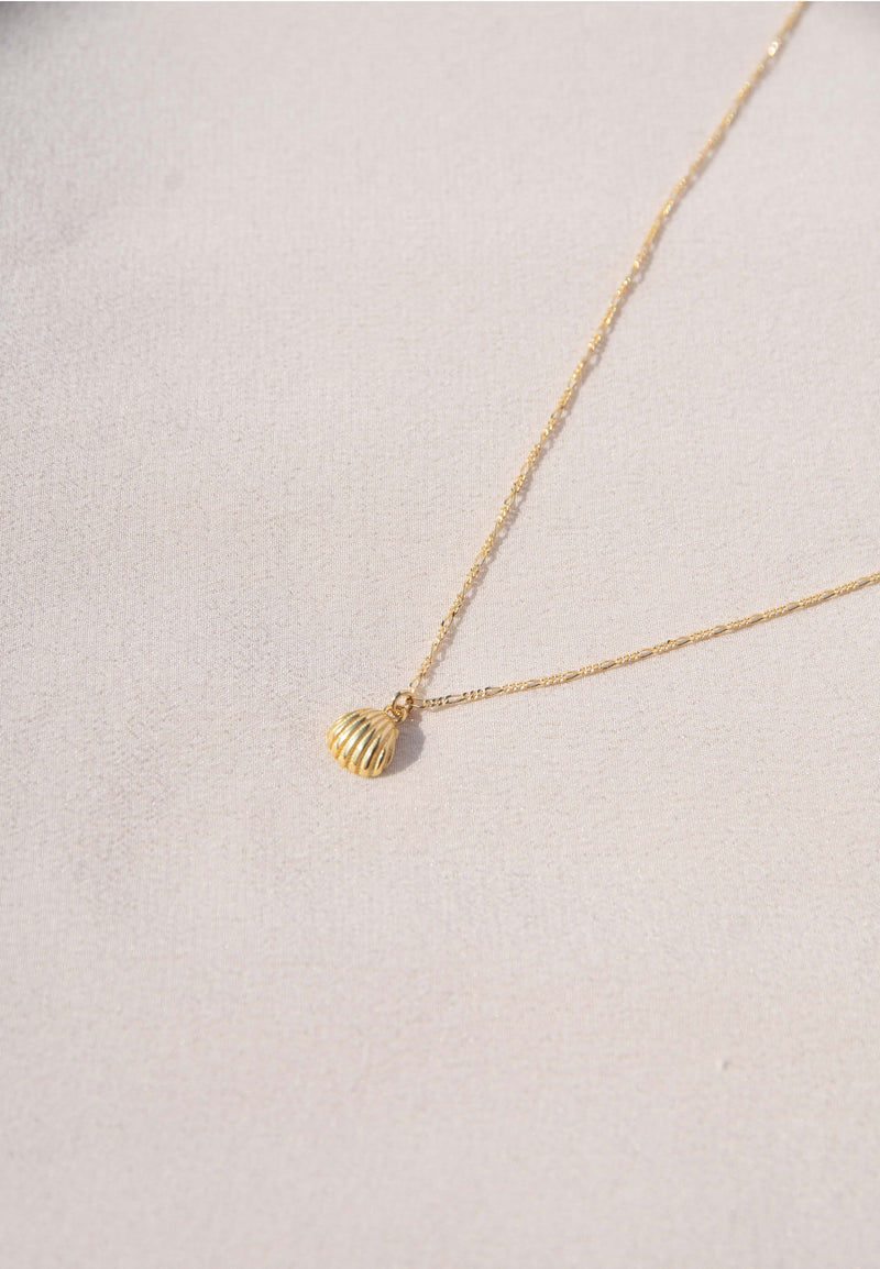 COQUILLAGE Necklace